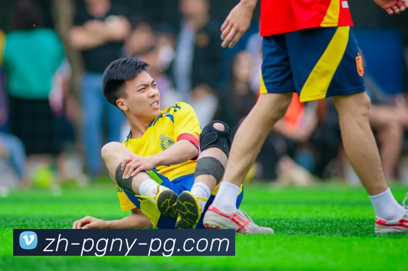 App Interface Preview